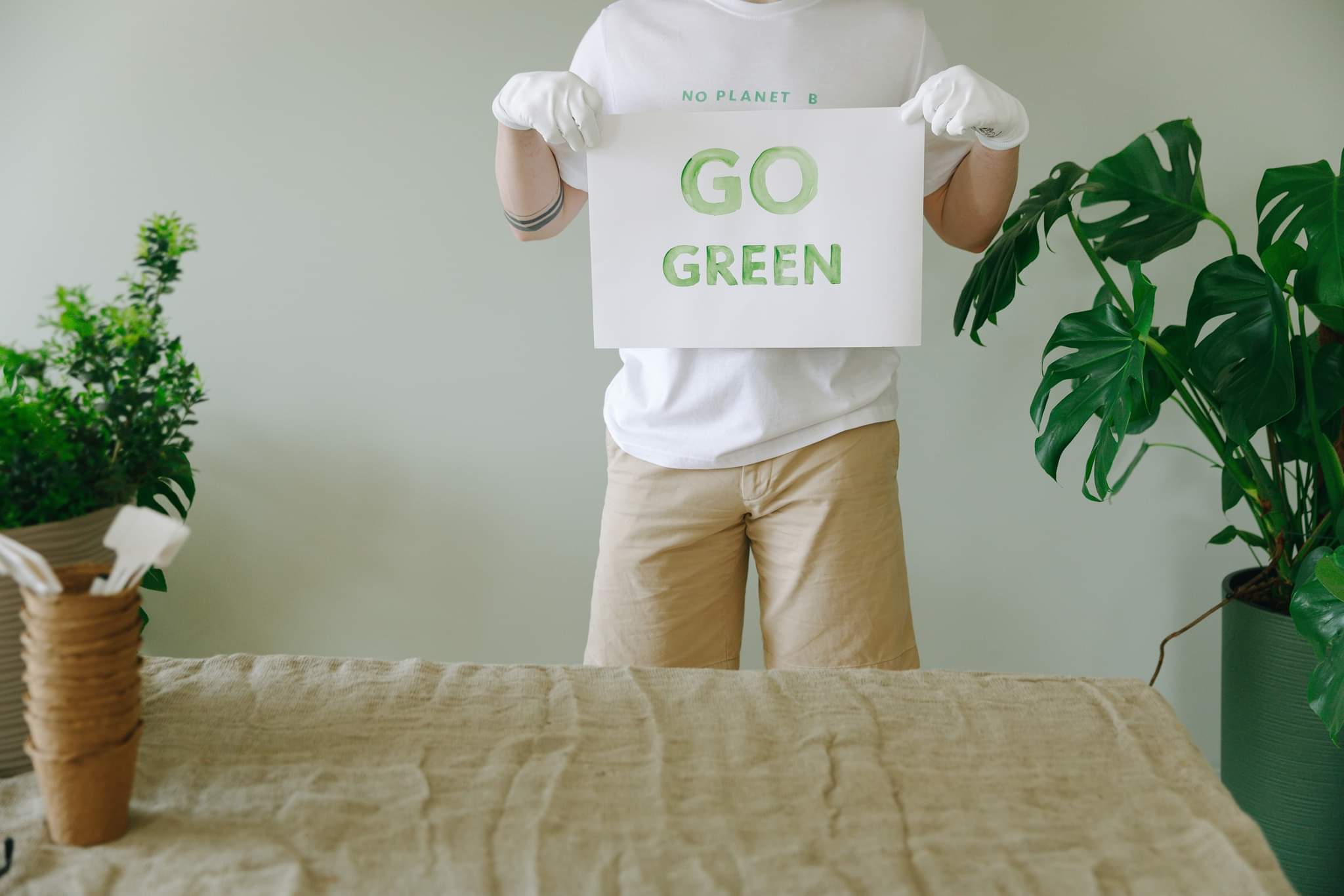 Green ideas and initiatives: Four messages on how to care for the environment
